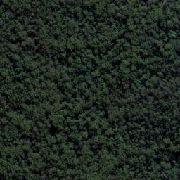 Satellite imagery of Cabbage Tree Mountain, AU