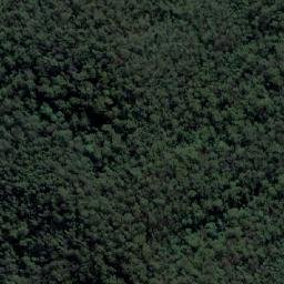 Satellite imagery of Cabbage Tree Mountain, AU