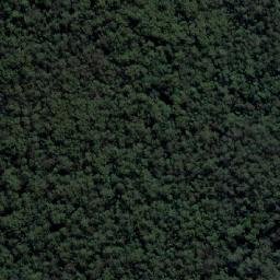 Satellite imagery of Cabbage Tree Mountain, AU