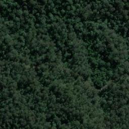 Satellite imagery of Bald Knob, AU