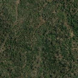 Satellite imagery of North Pole, AU