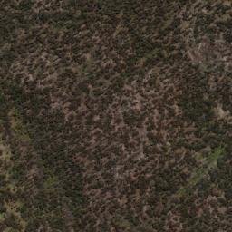Satellite imagery of Nightcap Mountain, AU
