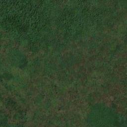 Satellite imagery of M50, BR