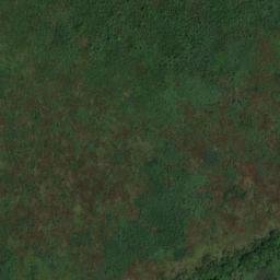 Satellite imagery of M50, BR