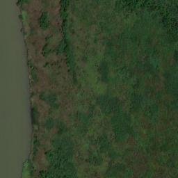 Satellite imagery of M49, BR