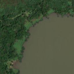 Satellite imagery of M50, BR
