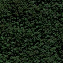 Satellite imagery of Sheas Nob, AU