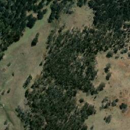 Satellite imagery of Black Mountain, AU