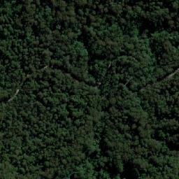 Satellite imagery of Mount Coramba, AU