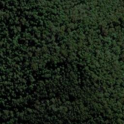 Satellite imagery of Mount Coramba, AU