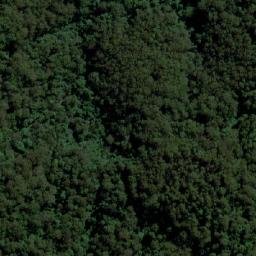 Satellite imagery of Mount Coramba, AU