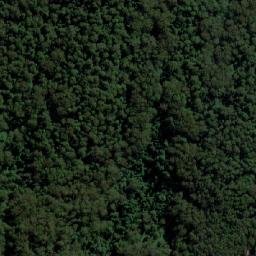Satellite imagery of Mount Coramba, AU