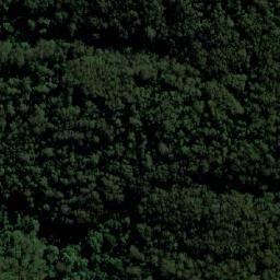 Satellite imagery of Mount Coramba, AU