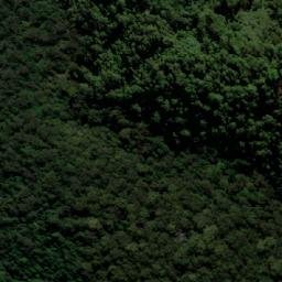 Satellite imagery of Tallowwood Mountain, AU