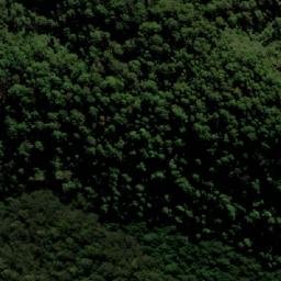 Satellite imagery of Tallowwood Mountain, AU