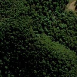 Satellite imagery of Tallowwood Mountain, AU