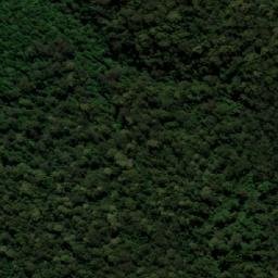 Satellite imagery of Tallowwood Mountain, AU