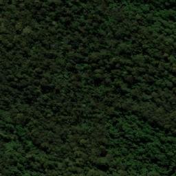 Satellite imagery of Tallowwood Mountain, AU