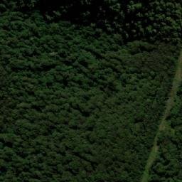 Satellite imagery of Tallowwood Mountain, AU