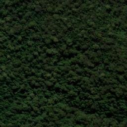Satellite imagery of Tallowwood Mountain, AU