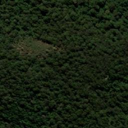 Satellite imagery of Tallowwood Mountain, AU