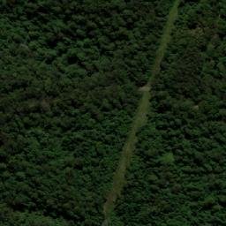 Satellite imagery of Tallowwood Mountain, AU
