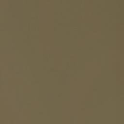 Satellite imagery of Ponta dos Coatis, BR