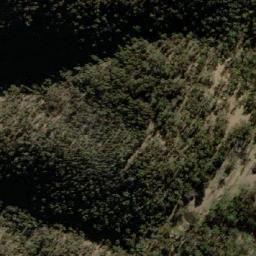 Satellite imagery of Monkey Point, AU