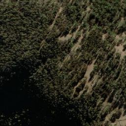 Satellite imagery of Monkey Point, AU
