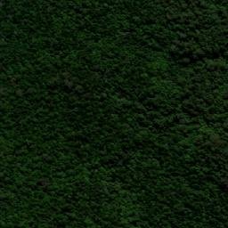 Satellite imagery of Mount Campion, AU