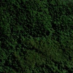 Satellite imagery of Dibbs Head, AU