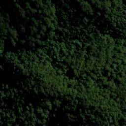 Satellite imagery of Dibbs Head, AU
