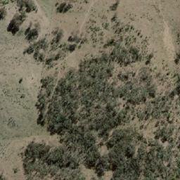 Satellite imagery of Mount Rankin, AU