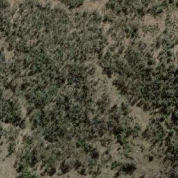 Satellite imagery of Mount Rankin, AU