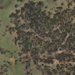 Satellite imagery of Ringbark Hill, AU