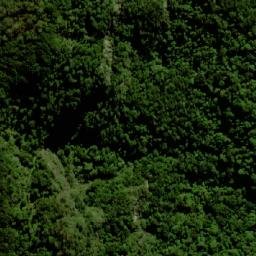 Satellite imagery of Darkie, AU