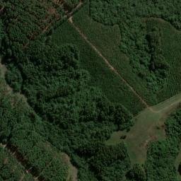 Satellite imagery of Cerro do Delfino, BR