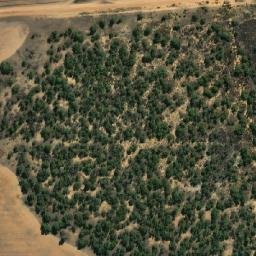 Satellite imagery of Bald Hill, AU