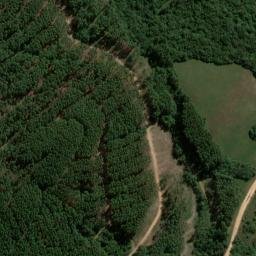 Satellite imagery of Cerro do Delfino, BR