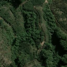 Satellite imagery of Serra dos Tapes, BR