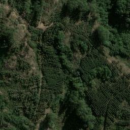 Satellite imagery of Serra dos Tapes, BR