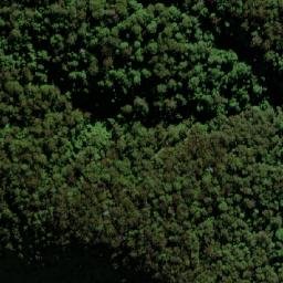 Satellite imagery of Pine Knob, AU