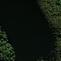 Satellite imagery of Pine Knob, AU