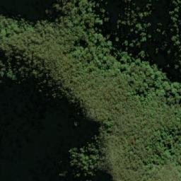 Satellite imagery of Pine Knob, AU