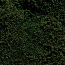 Satellite imagery of Bitter Vine Mountain, AU
