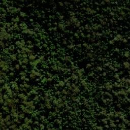 Satellite imagery of Bitter Vine Mountain, AU