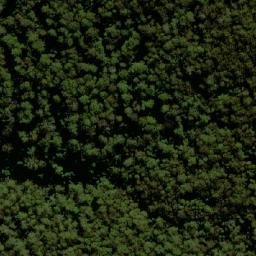 Satellite imagery of Bitter Vine Mountain, AU