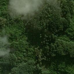 Satellite imagery of Cerro do Macaco Branco, BR