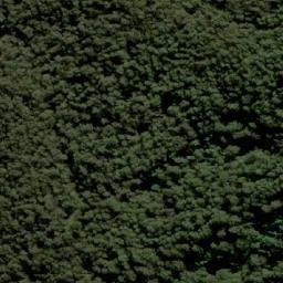 Satellite imagery of Big Raspberry, AU
