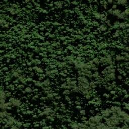 Satellite imagery of Tooses Top, AU